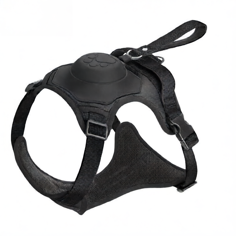 Dog Harness Leash