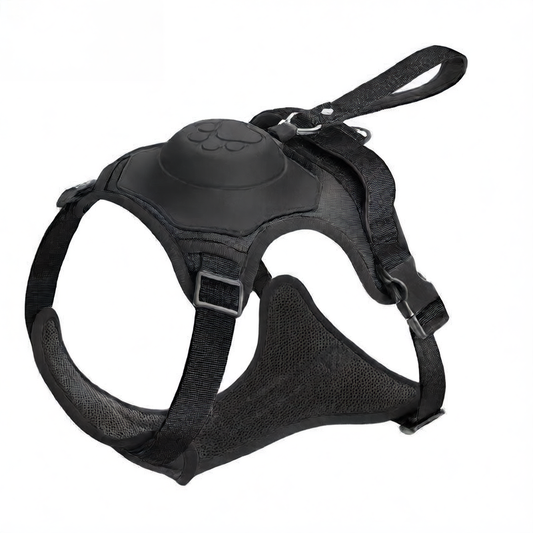 Dog Harness Leash